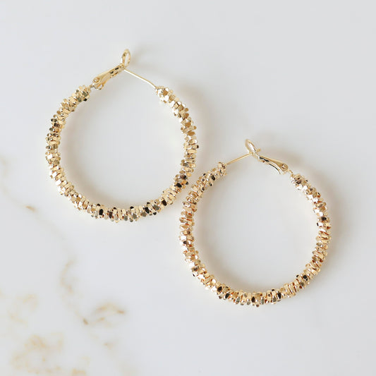 Faceted Hoop Earrings