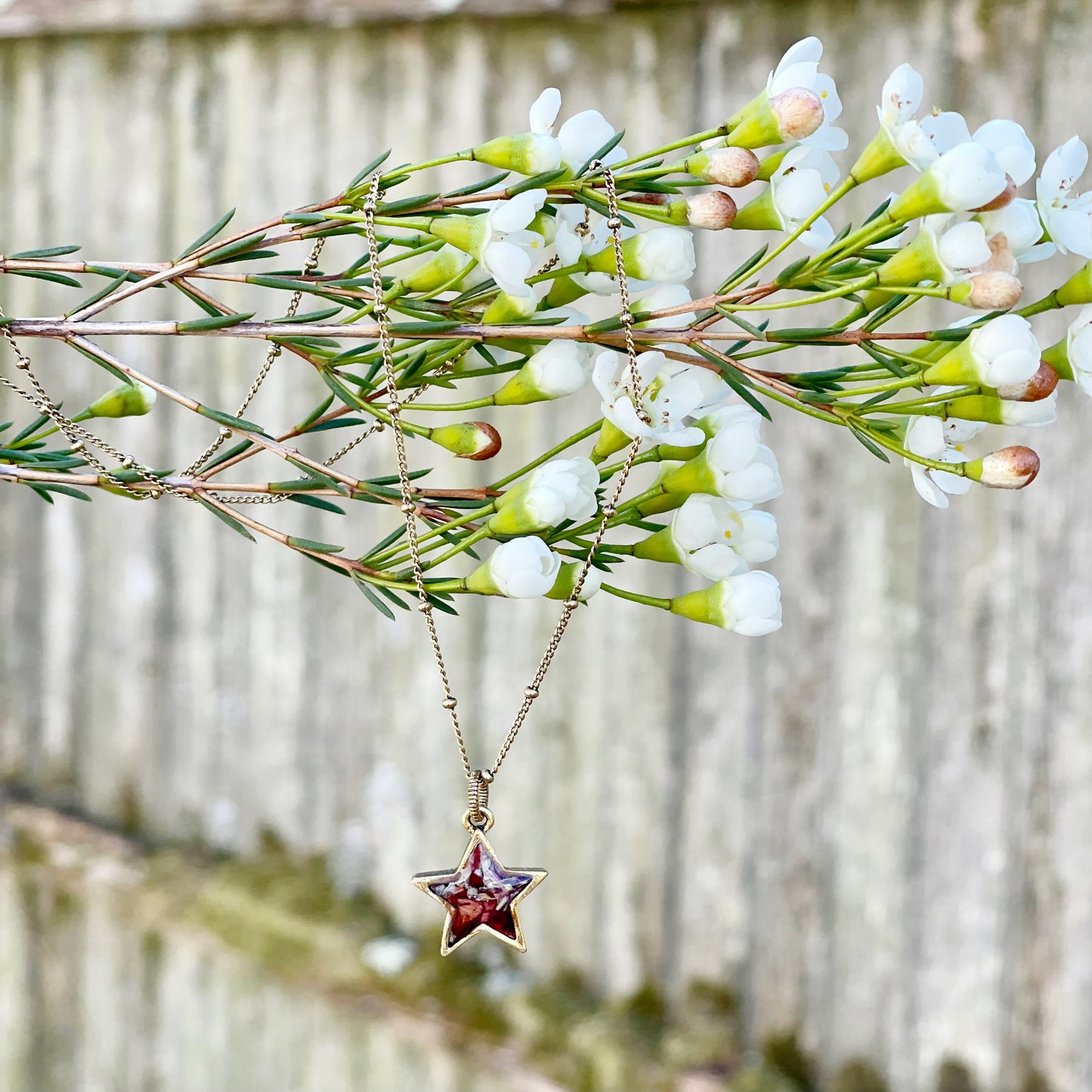Memory Flower Jewelry Mini Star Necklace