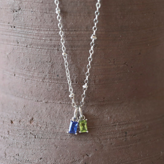 Silver Edition Family Charm Necklace - Two Charms