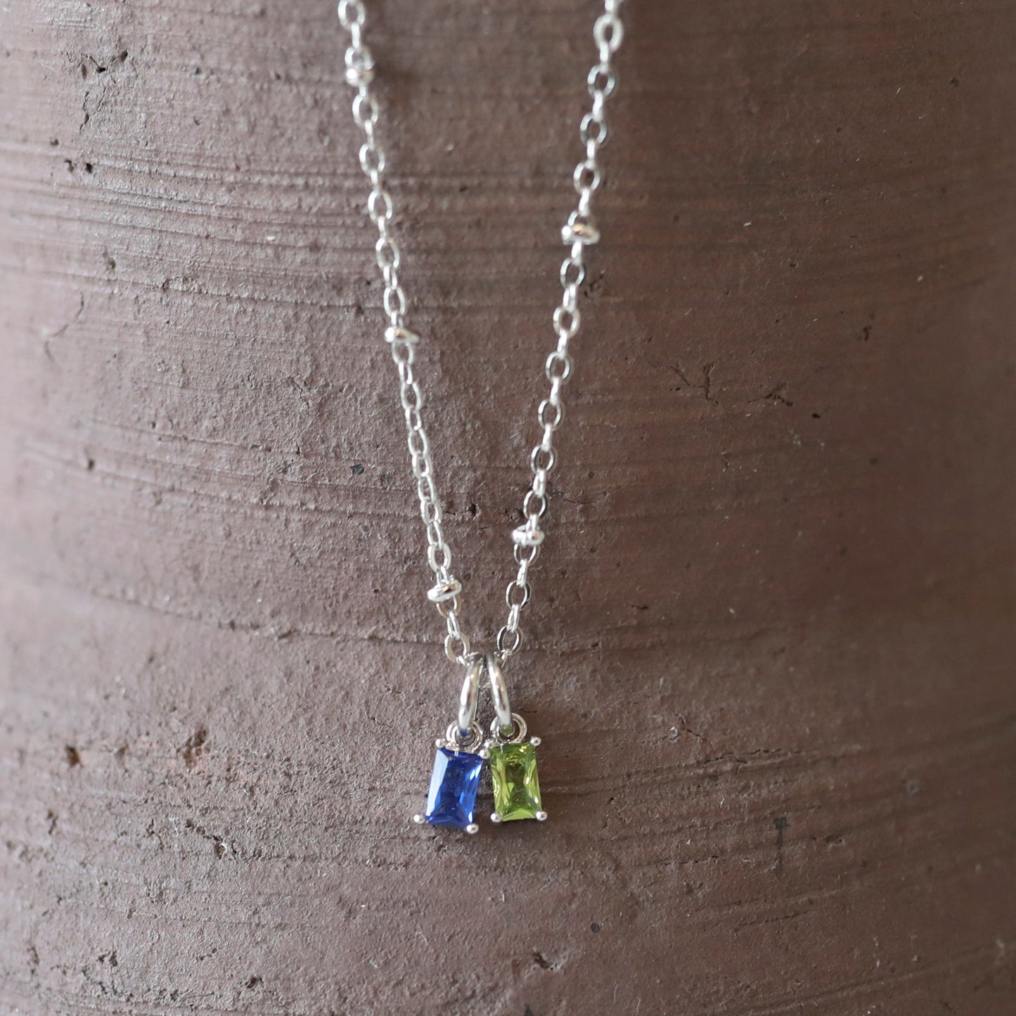 Silver Edition Family Charm Necklace - Two Charms