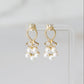 Faceted Pearl Drop Studs